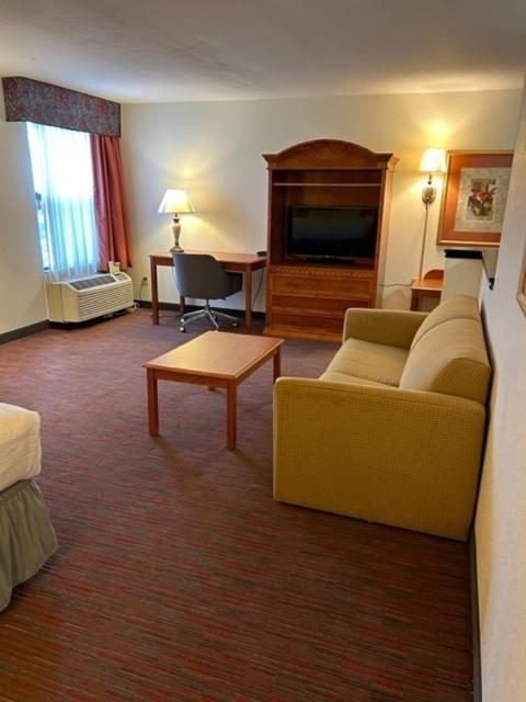 Palms 4*