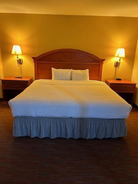 Hotel Palms