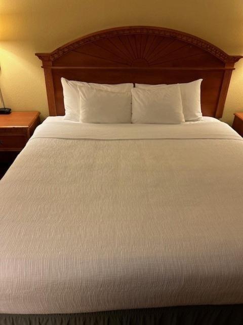 Palms Hotel 4*