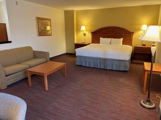 Palms 4*