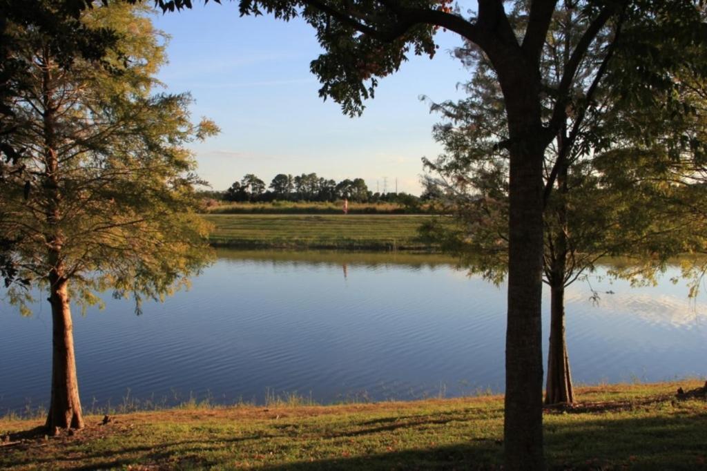 Beautiful Vista Cay View Classic Near To Theme Parks & Walk To The Convention Center