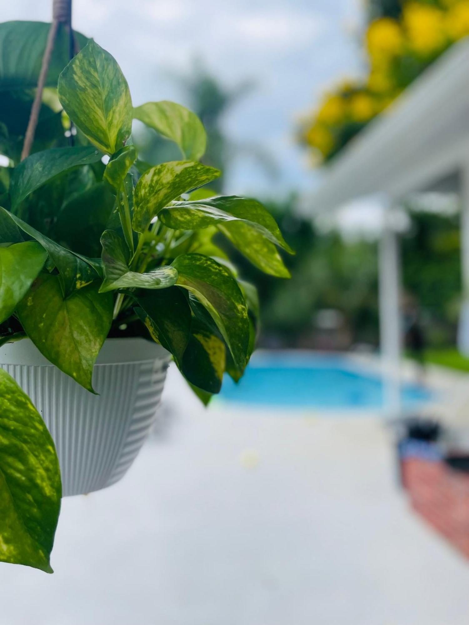Resort-style With A Heated Pool And A Huge Gated Yard Holiday home Orlando