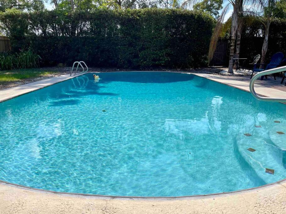 Winter Park Citrus Escape Holiday home *