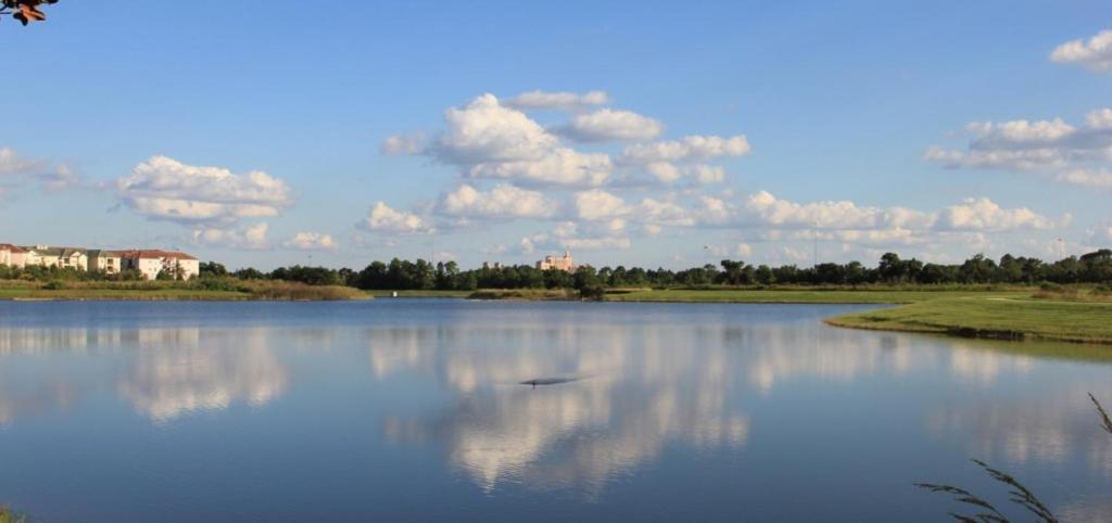 New! Luxurious Vista Cay Lakeview Fantasy Near Theme Parks And Walk To The Convention Center Holiday home *