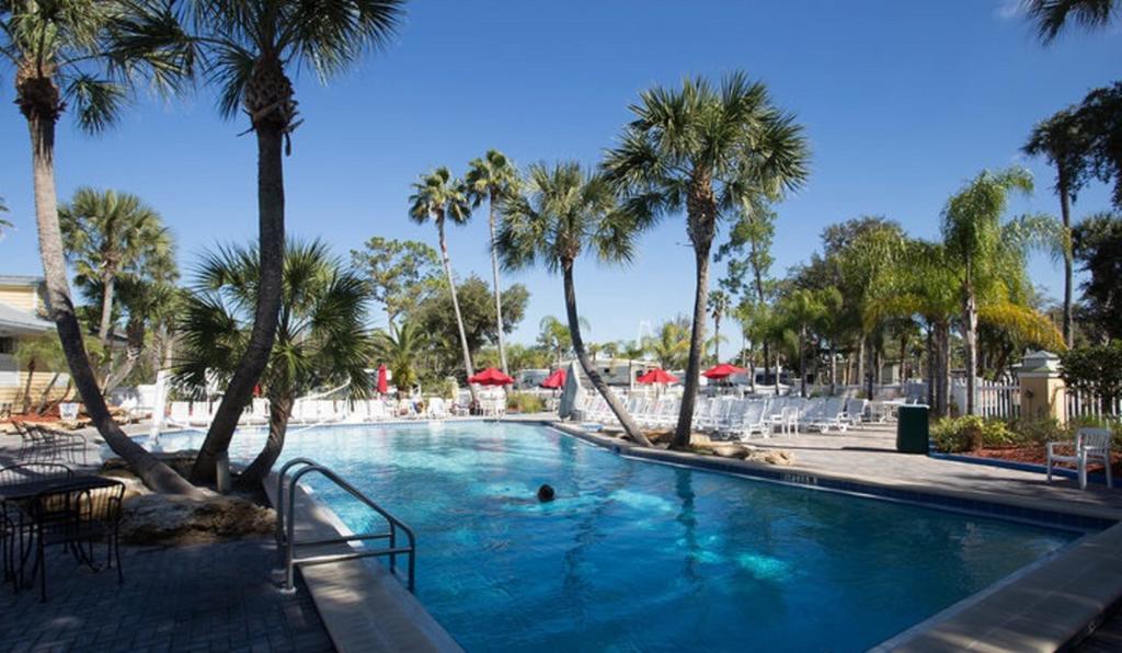 Tropical Palms Premium Two-bedroom Loft 77 *