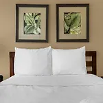 8543 - 4Br Disney World Vacation Townhome
