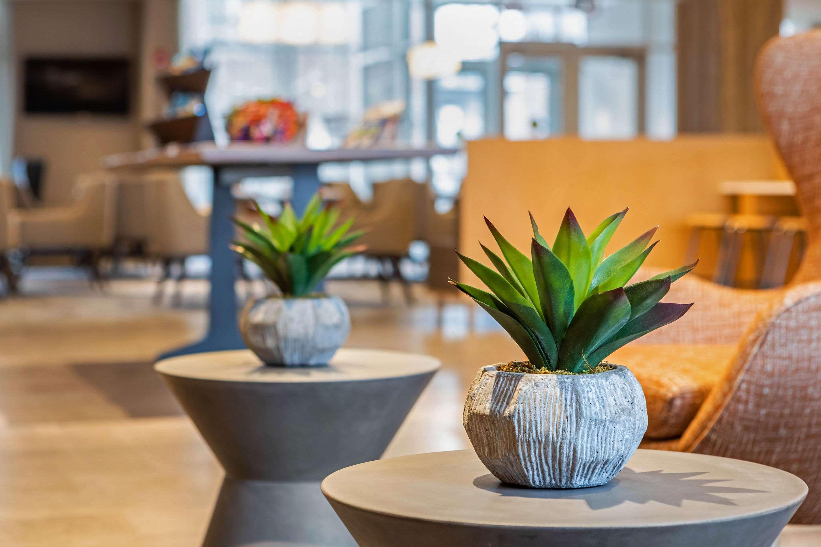 Hotel Cambria Airport 3*