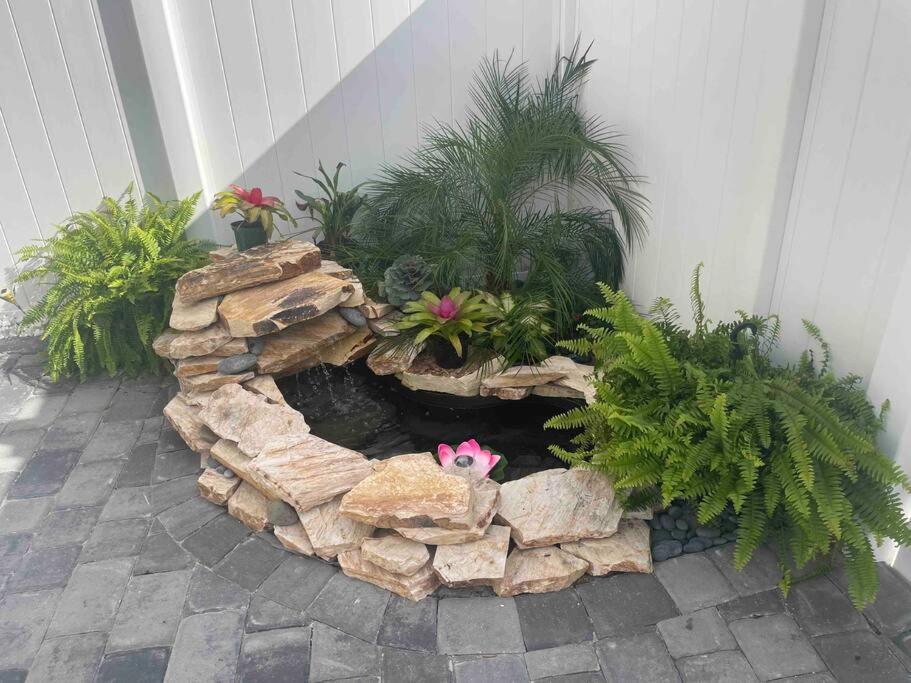 The Tiny In The Springs/ Fl *