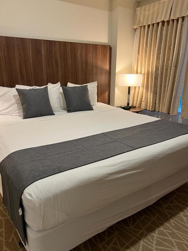 Apartment The Point & - 503 Luxury - Pool View - Close To Universal *