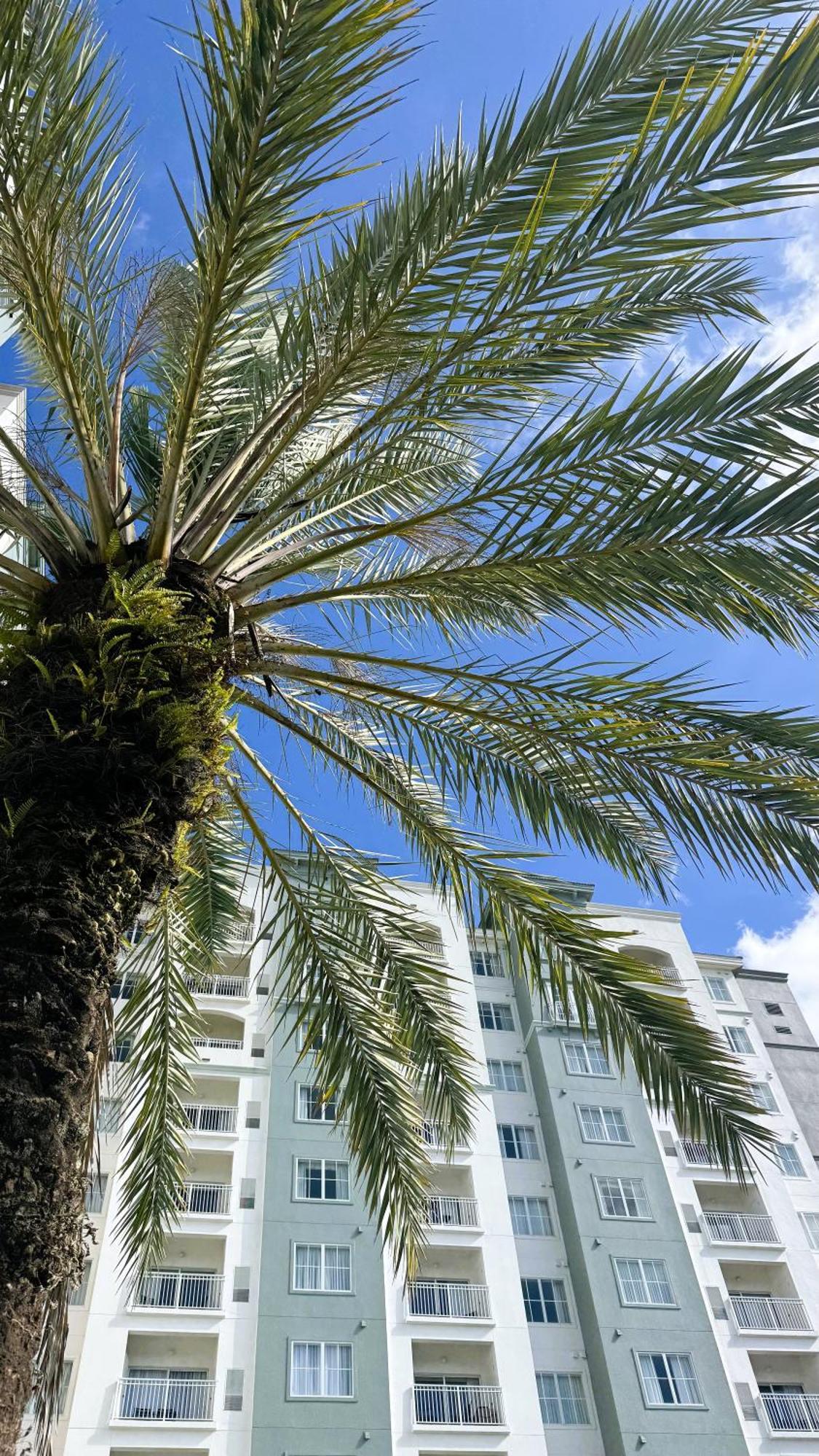 The Point & Universal Hotel Orlando