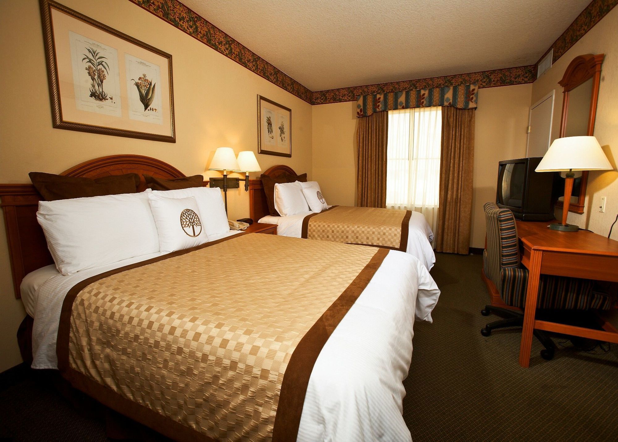 Hotel Staysky I-drive Near Universal Orlando